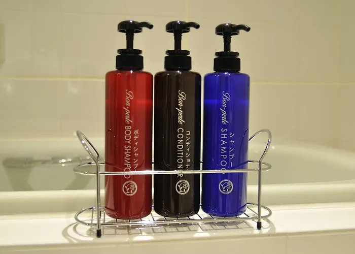 Sotetsu Fresa Inn Ginza-Nanachome Tokyo