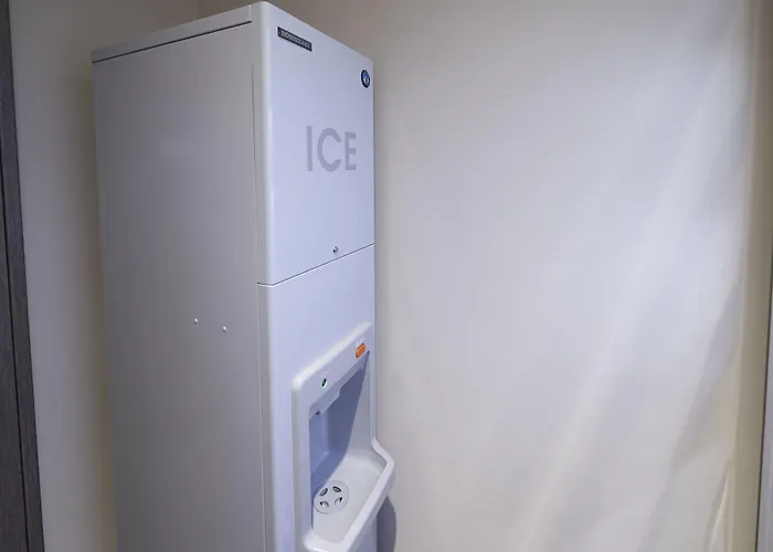 Sotetsu Fresa Inn Ginza-Nanachome Tokyo